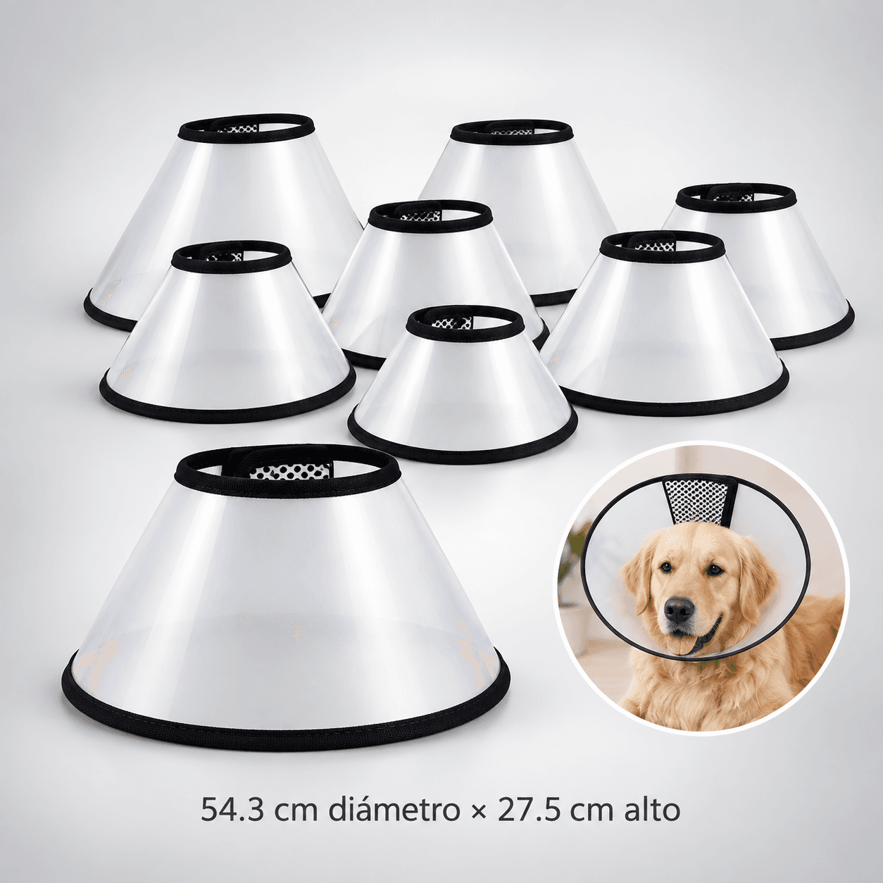 Collar isabelino
