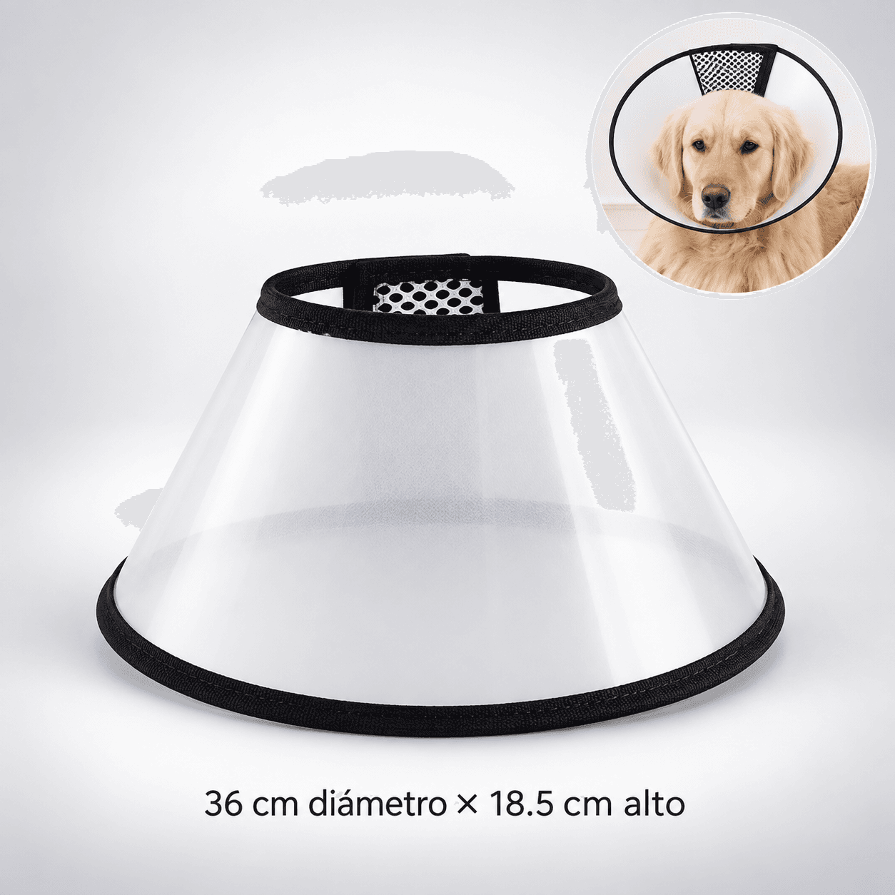 Collar isabelino
