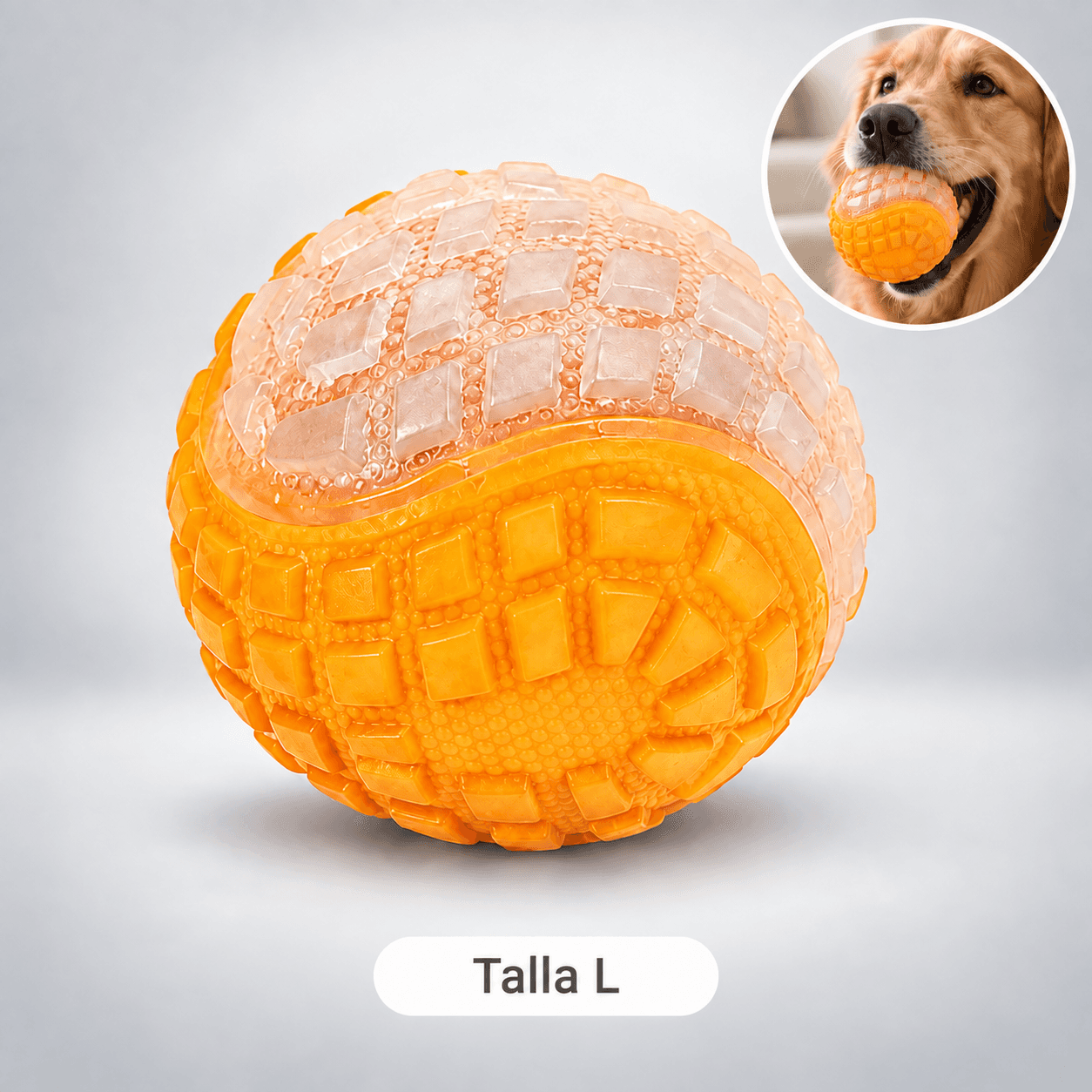 Pelota goma