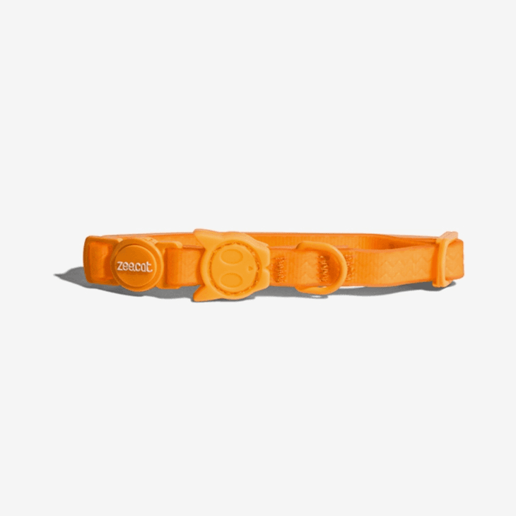Zee.Dog Tangerine - Collar neopro contra agua para gato