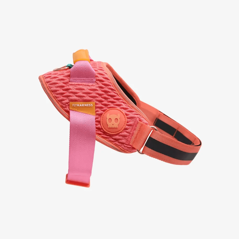 Zee.Dog Gazelle - Arnes Flyharness para perros Talla 2